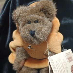 Boyd's Bear